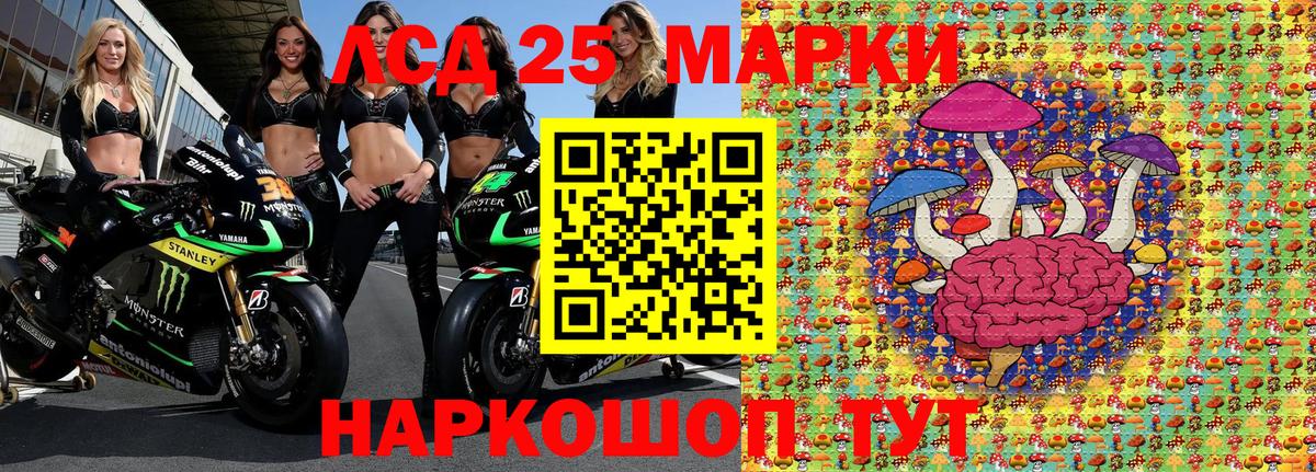 продажа наркотиков  Наркотические марки 1500мкг  Вход с VPN  Наркотические марки 1500мкг  Сосновоборск 