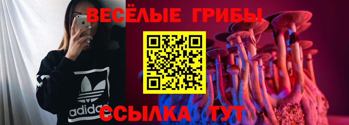 где продают   Вход с VPN  Сосновоборск  Псилоцибиновые грибы Magic Shrooms 