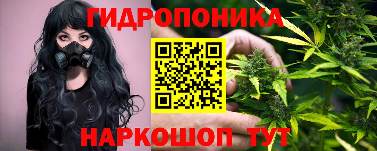 Бошки Шишки индика Сосновоборск